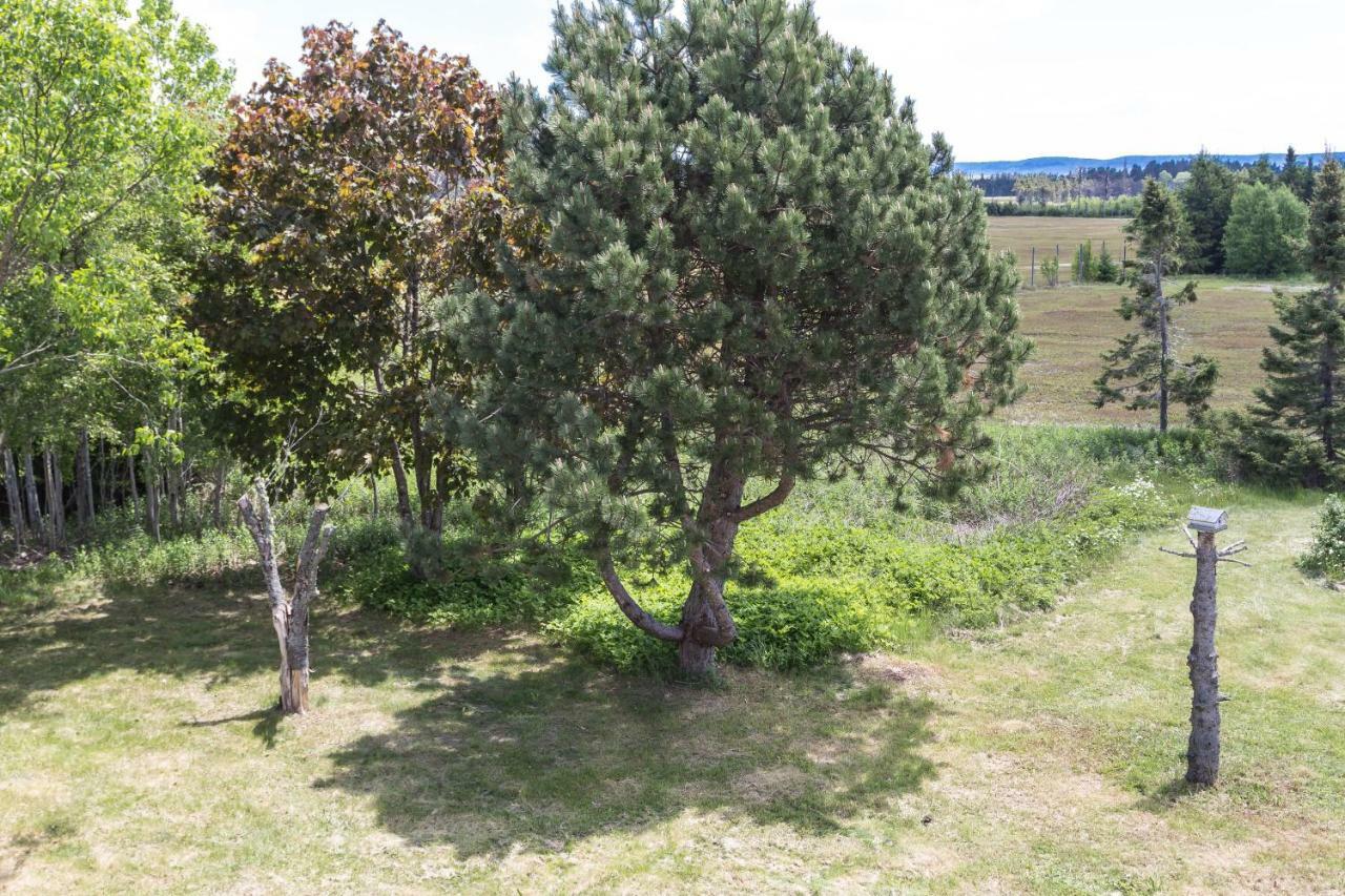 Fox Point Inn Parrsboro Luaran gambar